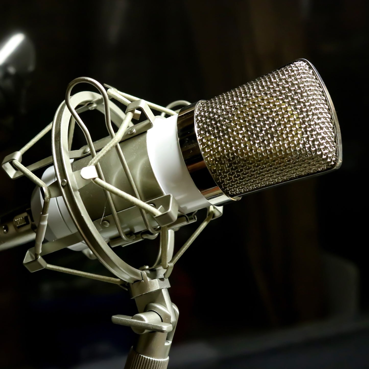 VOICE or INSTRUMENT RECORDING